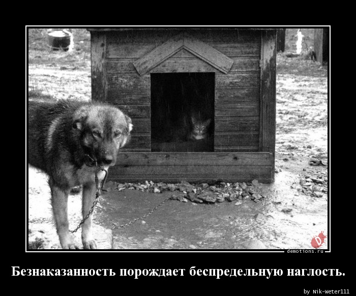 1517162982_Beznakazannost-poroz_demotions.ru.jpg