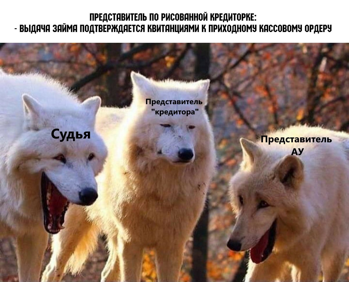 2023-02-20 22.02.44.jpg