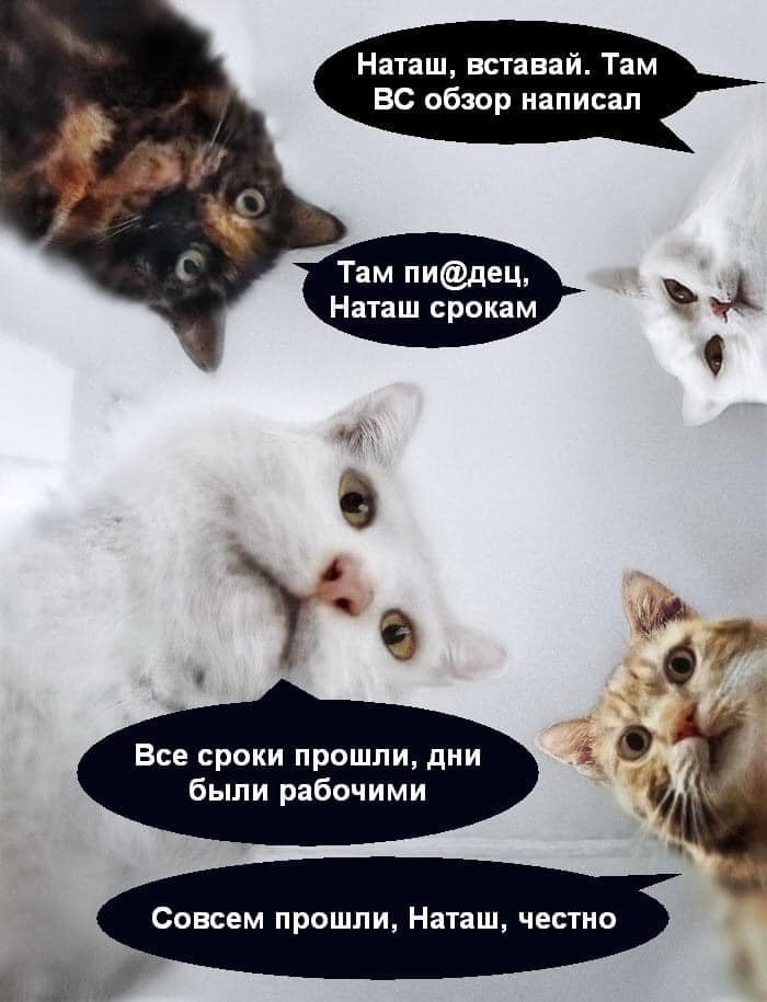 ddf8cf_1923b8fefa044286b89102c78ce155fd~mv2.jpg