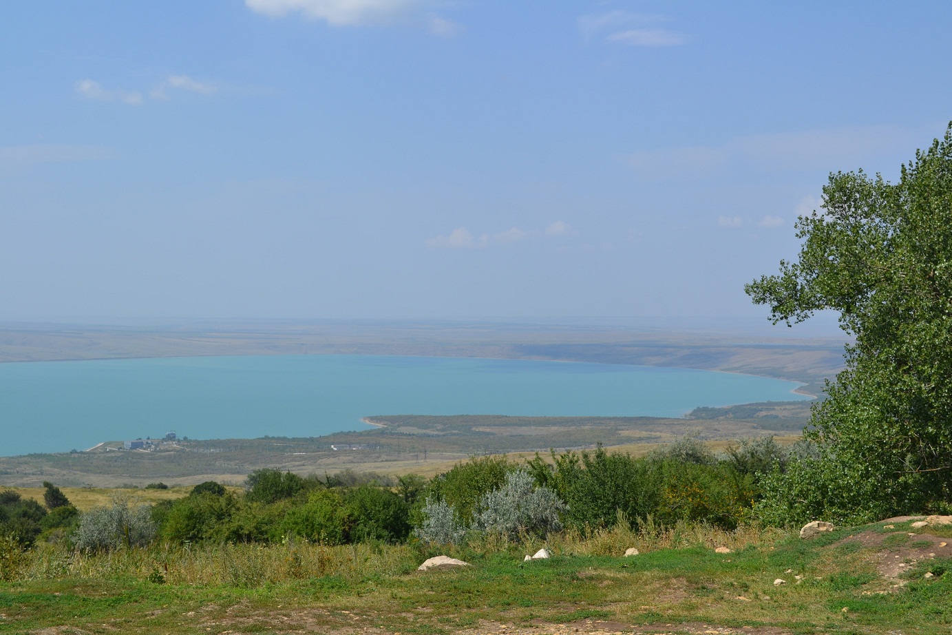 DSC_0218.JPG