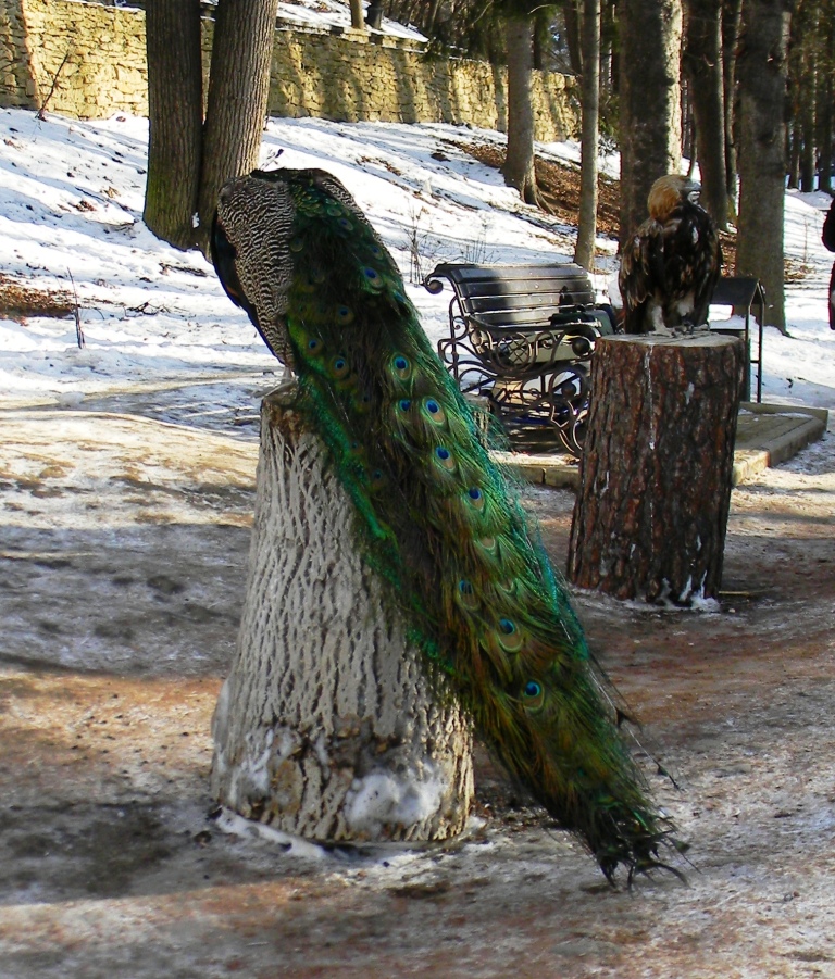 DSCN6306.JPG