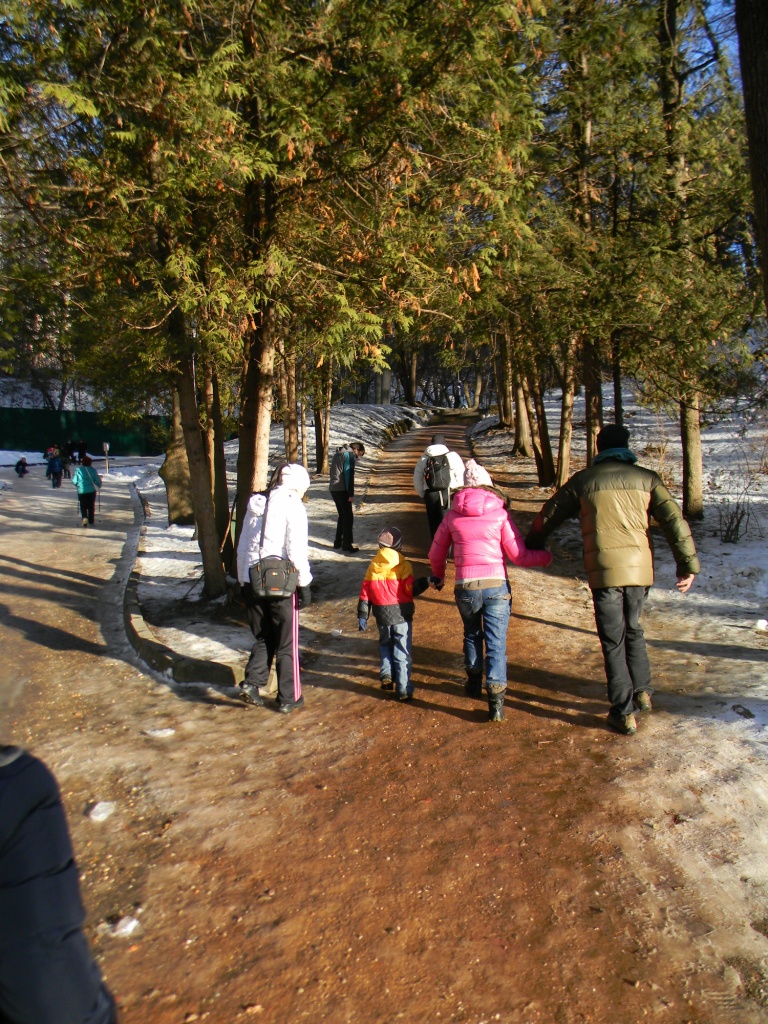 DSCN6307.JPG
