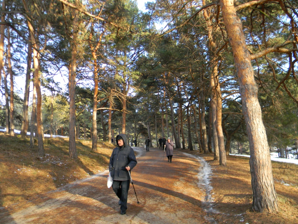 DSCN6316.JPG