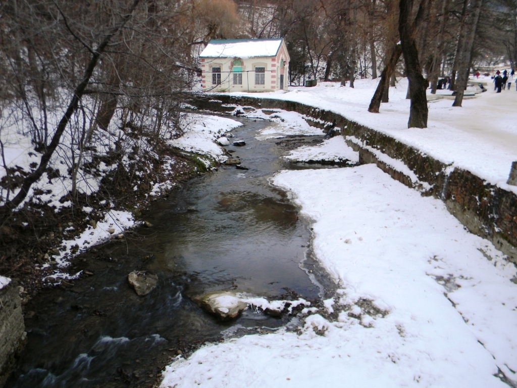 DSCN6321.JPG