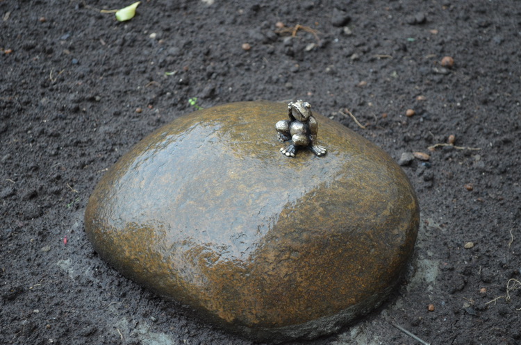 frog2.jpg