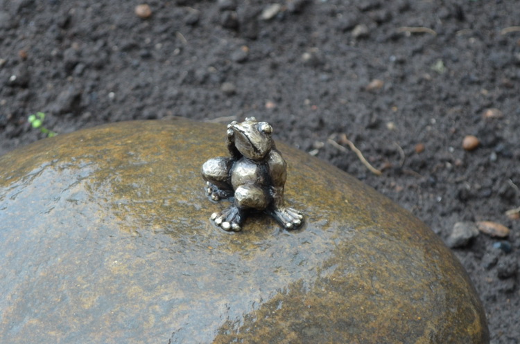 frog3.jpg
