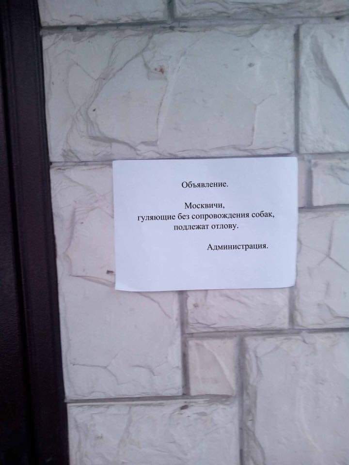 Норма права.jpg