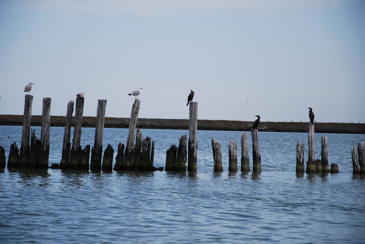 Resize of DSC_0682.JPG