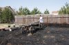 Resize of _MG_3089.JPG