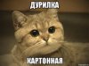 Дурилка.jpg