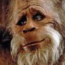 YETI