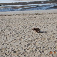 Resize of DSC_0176.JPG