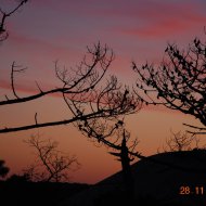 Resize of DSC_0495.JPG
