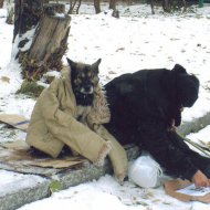 Верный друг. Александр Михайлин (Новосибирск).jpg