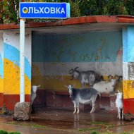 Ждем автобус. Роман Годовалов (Пермский край).jpg