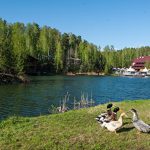 имущество экс-банкира Лапшина