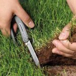 дело о хищении земельных участков