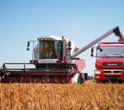 Комбайн Torum 785 убирает зерно