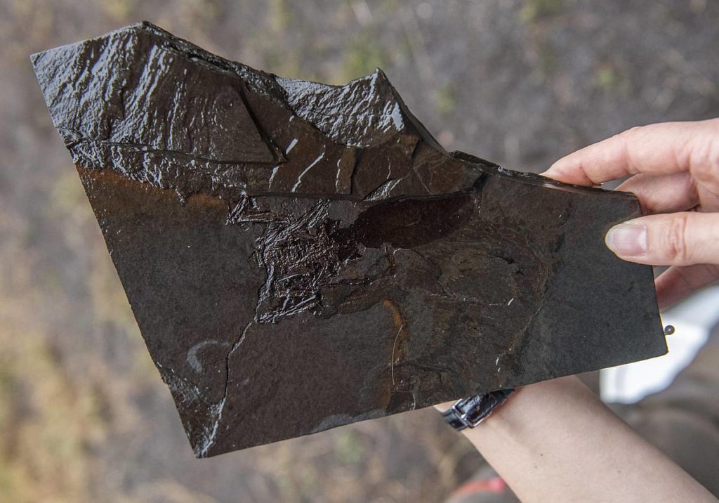 сланцевая нефть сша