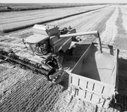 Сельское хозяйство России