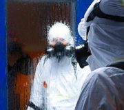 новая нормальность