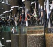 уволенные рыбоводы