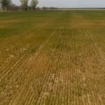 Украине придется привыкнуть к засухе