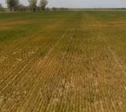 Украине придется привыкнуть к засухе