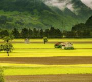 Что делать управляющему с самовольными постройками на земельном участке должника