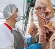 Мясоперерабатывающий комплекс в Курской