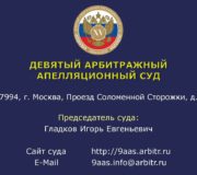 девятый арбитражный апелляционный суд