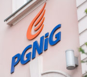 pgnig