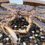 крабовых королей передали в собственность государства